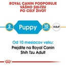 Granule pre psov Royal Shih Tzu Puppy 1,5 kg