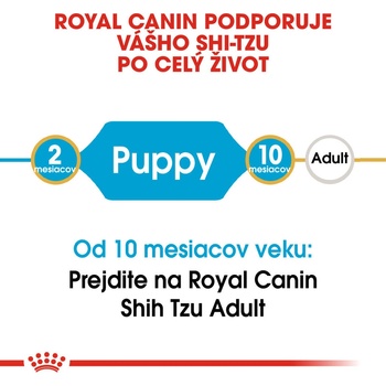 Royal Shih Tzu Puppy 1,5 kg
