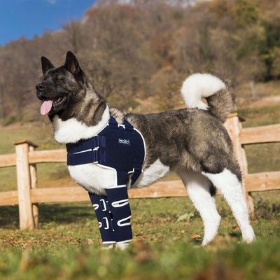 Balto Dlaha na ramená pre psa S