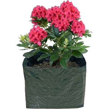 Garden Pleasure Повдигната леха - Garden Pleasure (509085)