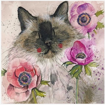 Přání Cat in the anemones