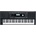 Casio CTK 1200