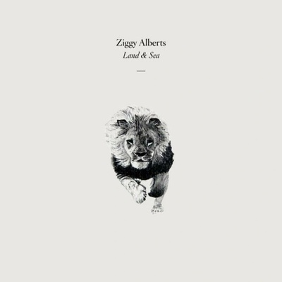 Ziggy Alberts: Land & Sea x Four Feet in the Forest 2 LP