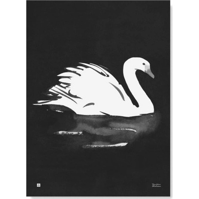 Teemu Järvi Plakát s motivem labutě Swan 50x70