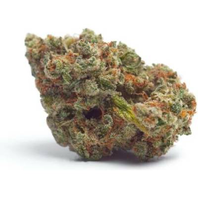 Growers Choice Tropicana Wedding Cake AUTO semena neobsahují THC 5 ks