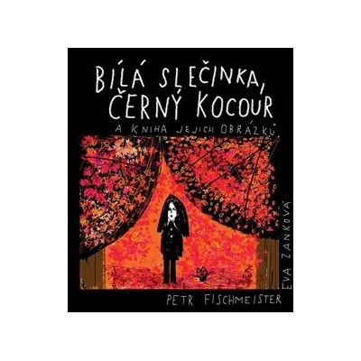 Bílá slečinka, černý kocour - Petr Fischmeister