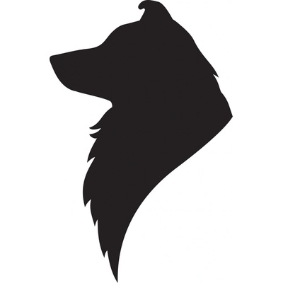 Vsepropejska Sheltie dřevěná dekorace na zeď Rozměr (cm): 38 x 25