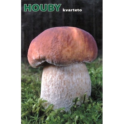 Kvarteto Houby