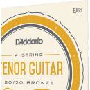 D'Addario EJ66