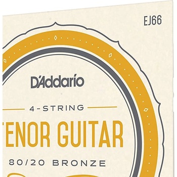 D'Addario EJ66