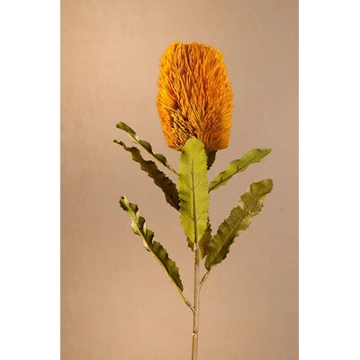 Paramit DRY BANKSIA Aranžovací květina žlutá 65 cm