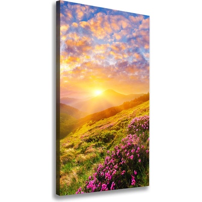 Vertikálny foto obraz na plátne Západ slnka hory 50x100 cm