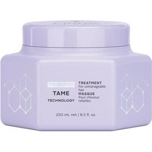 Schwarzkopf Fibre Clinix Tame Treatment 250 ml