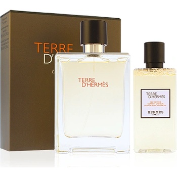 Hermès Terre D´Hermes подаръчен комплект Man Eau de Toilette 100 ml + душ гел 80 ml