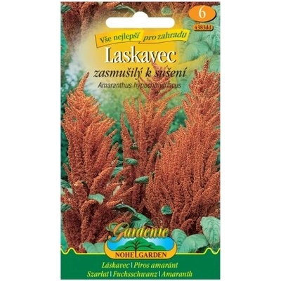 Nohel Garden Láskavec smutný na sušenie, oranžový