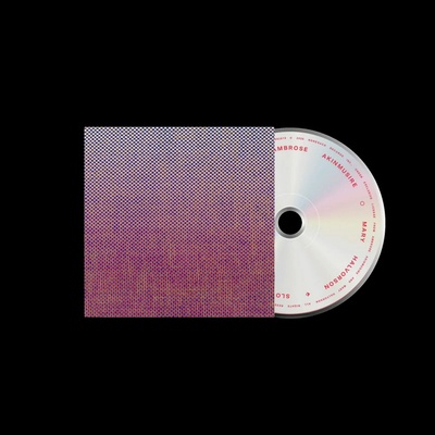 Ambrose Akinmusire,Mary Halvorson - SLO-MO NEON LUMINATE H... CD