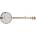 Deering Goodtime 5-String Openback