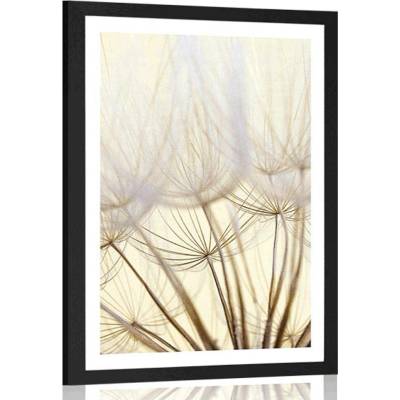 Plakát s paspartou pampelišková semena - 30x45 white