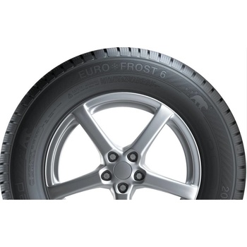 Image 1 of Gislaved Euro*Frost 6 205/55 R16 91T