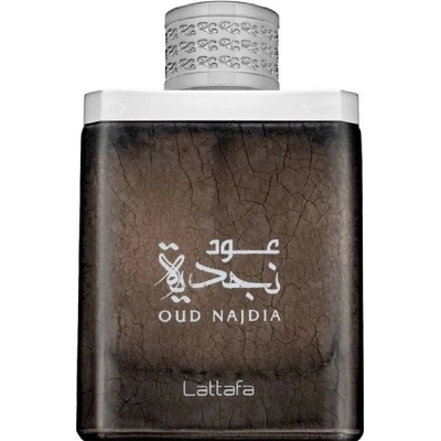 Lattafa Perfumes Oud Najdia parfumovaná voda pánska 100 ml