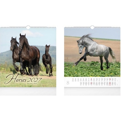 nástěnný malý Horses 1061735 2027