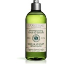 L'Occitane Aromachologie šampon pro posílení vlasů Body&Strength Shampoo 300 ml