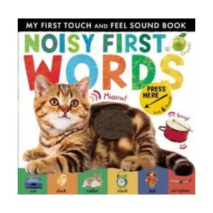 Noisy First Words | Libby Walden (ISBN: 9781848698499)
