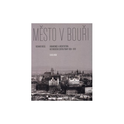 Biegel, Richard - Město v bouři