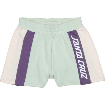 Santa Cruz kraťasy Frame shorts Multi