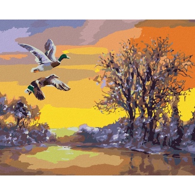 Zuty Malování Podle Čísel Letící Kachny Nad Řekou V Zimě D. Rusty Rust 40 x 50 Cm Plátno Rám