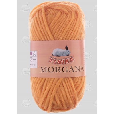 VLNIKA Příze Morgana Barva: 103