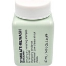 Kevin Murphy Smooth Again Wash Shampoo 40 ml