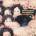 Manfred Mann Chapter Three - Volume 2 (LP) (5060051334399)