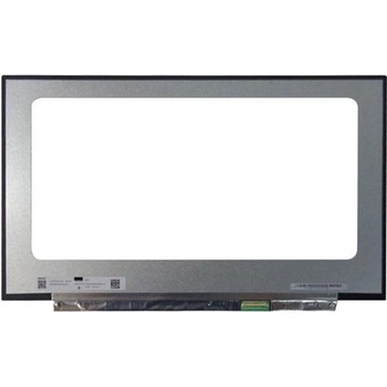 Display N173HCE-G33 REV.C3 LCD 17.3" 1920x1080 WUXGA Full HD LED 40pin Slim 144Hz matný povrch