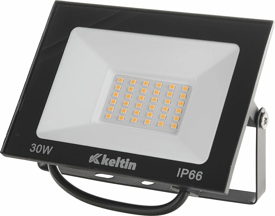 Geko K02031