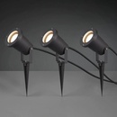Trio Lighting 800260342