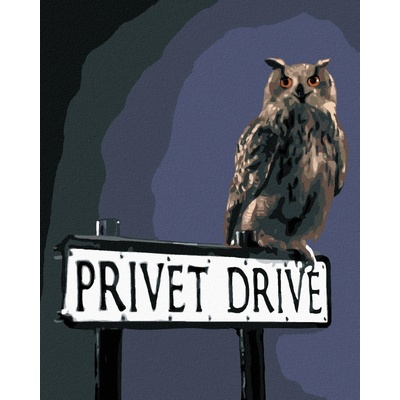 zuty Malování Podle Čísel Sova Na Ceduli Zobí Ulice Harry Potter 40 x 50 Cm Plátno Rám