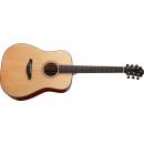 Furch Yellow Plus D-SP