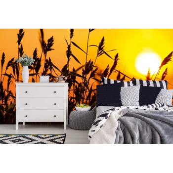 DIMEX ART s. r. o Самозалепваща се флизелинова фототапета тръстика при залез слънце 375 x 250 см