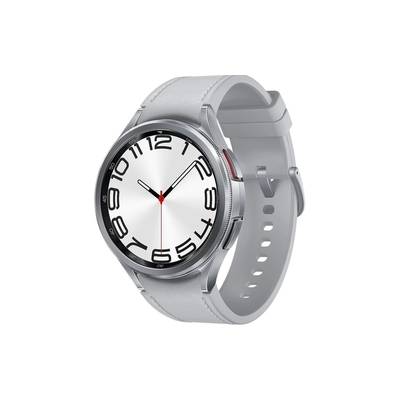 Samsung Galaxy Watch6 Classic 47mm SM-R960 - silver