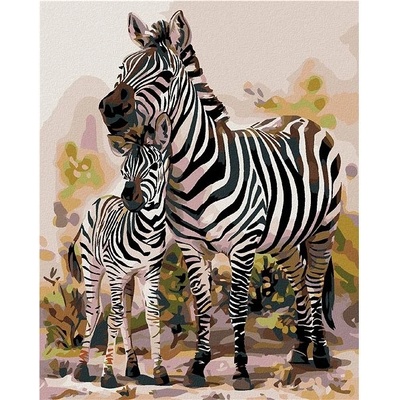 zuty Malování podle čísel Zebra s mládětem 40 x 50 cm vypnuté plátno na rám