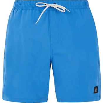 Protest Бански гащета Protest Baky swimming shorts - Blue (Gladio Blue)