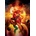 Art Puzzle - Puzzle Water and Fire - 1 000 piese