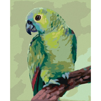 zuty Malování Podle Čísel Papoušek Myroslava Voloschuk 80 x 100 Cm Plátno Rám