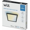 WiZ WI0063