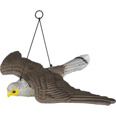 plašič vtáctva jastrab závesný