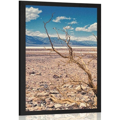 Plakát země sucha - 40x60 no frame