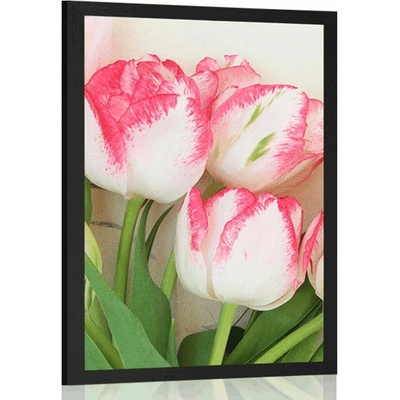 Plakát jarní tulipány - 20x30 black