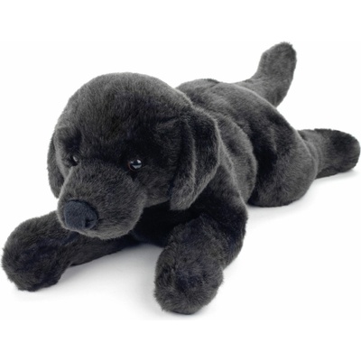 Labrador 48 cm