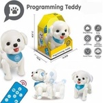 Ciuciubabka Dog remote control Fafik loader 300230